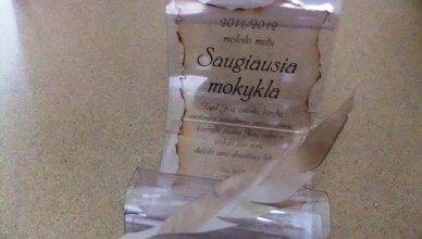 Saugiausia mokykla