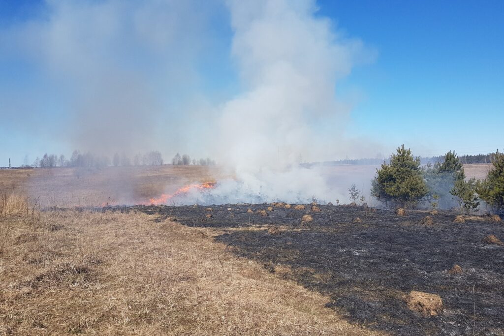 Ugniagesių savaitgalio darbai: gaisrai ir gelbėjimo operacijos