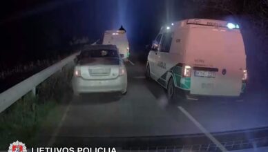 Naktinis gaudynės scenarijus Trakuose (video)