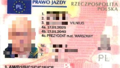 Vairuotojas su klastote sulaikytas pasienyje